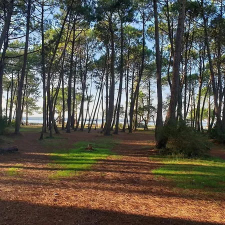 Mobilhome Premium Parque de Campismo *