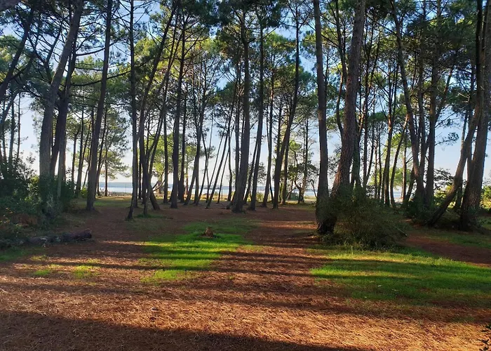 Mobilhome Premium Parque de Campismo *